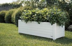 a white planter filled with green plants on top of a grass covered field next to bushes