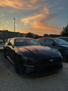 Ford mustang during sunset. Beautifull pink and orrange sky reflecting on the hood. Mustang Gt500 Aesthetic, Black Mustang Aesthetic, All Black Mustang, Blacked Out Mustang, Ford Mustang Aesthetic, 2020 Mustang Gt, Black Ford Mustang