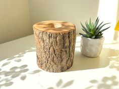 a wooden stump next to a potted plant