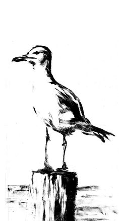 a black and white drawing of a seagull sitting on a piece of wood