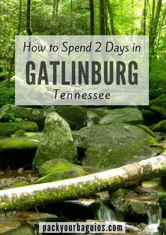 a stream running through a lush green forest filled with rocks and mossy trees, with text overlay reading how to spend 2 days in gatlinburg tennessee