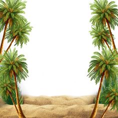 three palm trees in the sand on a white background