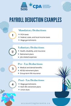 Payroll Deduction Payroll Organization, Bookkeeping Basics, Wage Garnishment, Gender Pay Gap, Payroll Taxes, Tax Payment