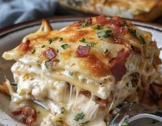 a close up of a plate of food with lasagna and cheese on it