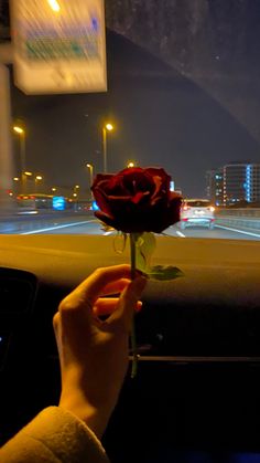 a person holding a rose in their hand while driving down the street at night time