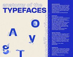 the back cover of an article about typefaces in blue and white with text below it