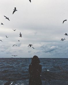 a person standing in the water with birds flying overhead