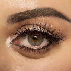 Limbal Ring, Jade Green Color, Grey Contacts