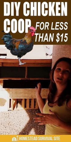 a woman standing in front of a chicken coop with the words diy chicken coop for less than $ 15