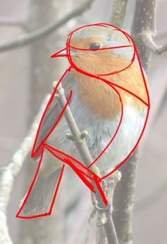 a bird sitting on top of a tree branch with red lines drawn across it's body