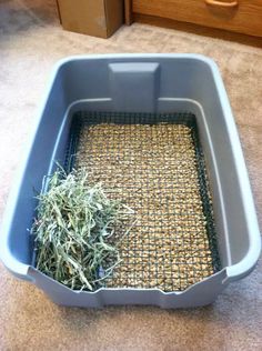 a blue plastic container filled with grass on top of a counter next to a drawer