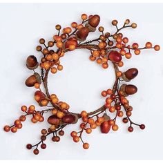 an arrangement of berries and acorns arranged in a circle on a white background