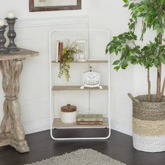 a living room with a potted plant and bookshelf in the corner next to a clock