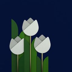 three white flowers are in the middle of some green grass and blue background, with two sticks sticking out of them