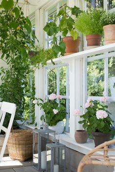 some potted plants are sitting on a window sill in front of a chair