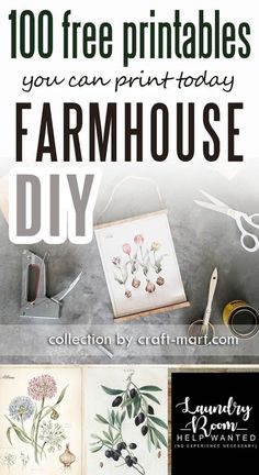 an advertisement for the farmhouse diy project with flowers and plants on it, including scissors