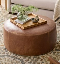 a coffee table with a tray on top of it and a plant in the middle