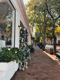 the sidewalk is lined with potted plants and hanging from the building's windows