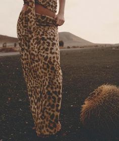 Leopard Skirt by Zara, sold out | Falda Leopardo Zara. Agotada en tiendas. 17.95 € Tule Rok, Net Skirt, Women Vest, Top Skirt Set, Brown Skirts, Slim Fit Top, Printed Maxi Skirts, Skorts, Printed Maxi