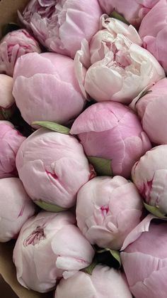 a bunch of pink flowers sitting in a bowl