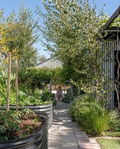 an outdoor garden with lots of trees and plants in the planter boxes on either side of the walkway