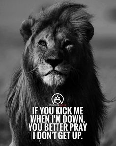 a lion with the quote if you kick me when i'm down, you better pray