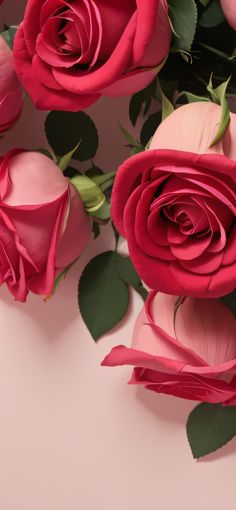 several pink roses with green leaves on a pink background