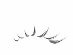 an image of some long eyelashes on a white background