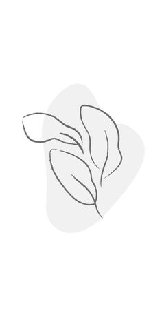 a drawing of a leaf on a white background