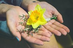 two hands are holding yellow flowers and green stems in the palm of someone's hand