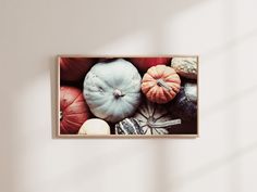 an arrangement of pumpkins and squash in a wooden frame hanging on a white wall