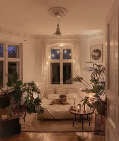 a living room filled with furniture and lots of plants