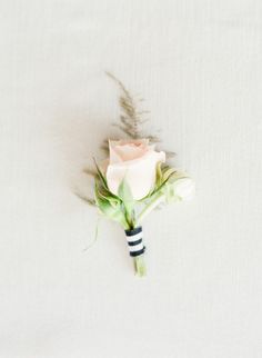 a single white rose is placed on top of a bed sheet with black and white stripes