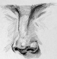 a pencil drawing of a cat's face with its eyes closed and nose open