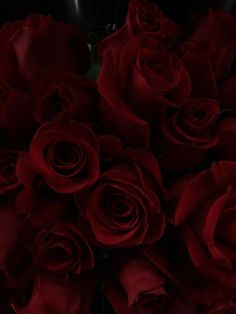 a bunch of red roses in a vase