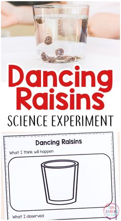 the science experiment for dancing raisins is an easy way to learn how to use it