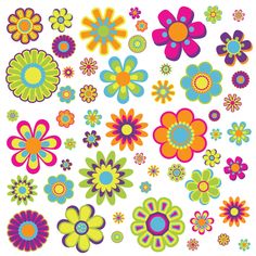 an assortment of colorful flowers on a white background