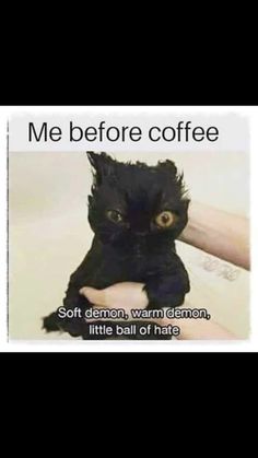 someone holding a black cat with the caption me before coffee soft demon warm demon little ball of hate