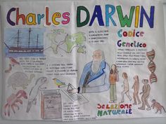 a bulletin board with information about charles's darwin and other things to see