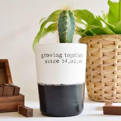 a potted plant sitting on top of a table next to wooden blocks and boxes