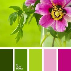 a vase filled with pink and green flowers on top of a grass covered field in color swatches