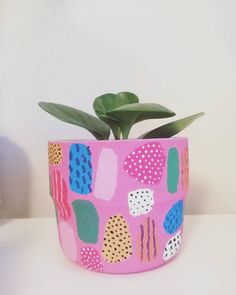 a potted plant sitting on top of a table