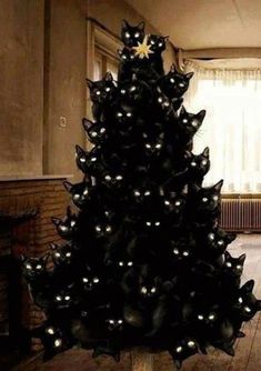 a black christmas tree with lights on it