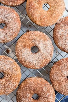 several sugared donuts on a cooling rack ready to be eaten and served for consumption