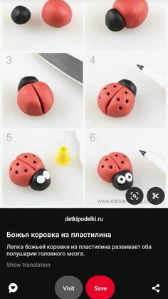 the instructions for making ladybug earrings are shown in red, black and white