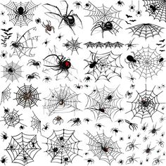 halloween spider webs and bats on white background