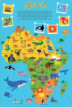 an illustrated map of africa with animals, birds and other things to see on it