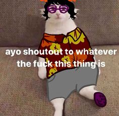 a white cat wearing glasses sitting on top of a couch with the caption saying, anyone