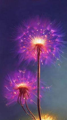 two purple dandelions with bright lights on them