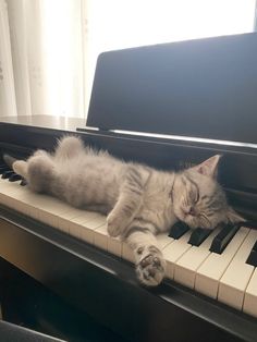 a cat laying on top of a piano